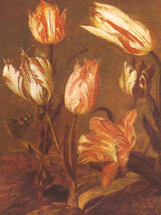Jacob Gerritsz Cuyp Tulip Field Germany oil painting art